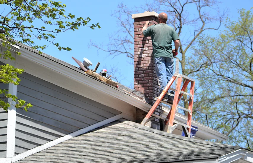 Chimney & Fireplace Inspections Services in Northdale, FL